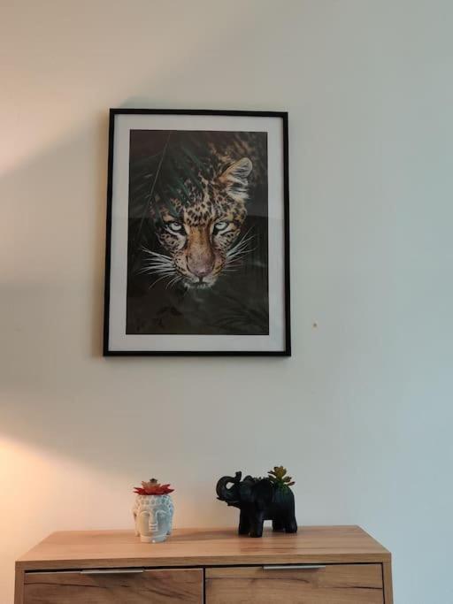 La Jungle Urbaine Avec Garage Prive & Climatisation Διαμέρισμα Περπινιάν Εξωτερικό φωτογραφία