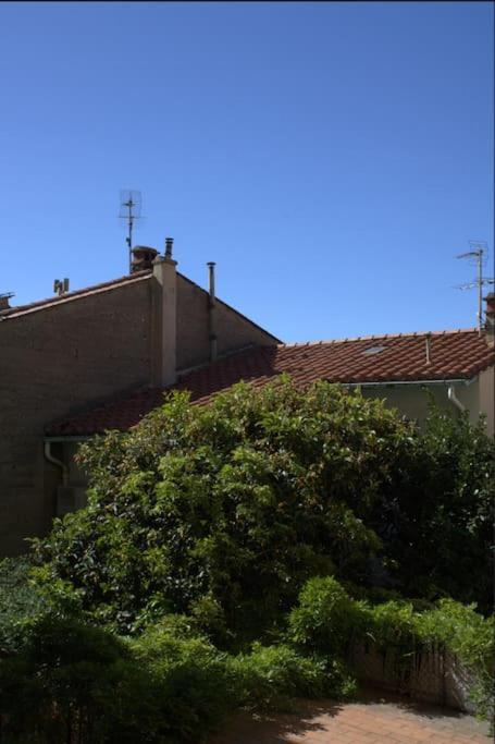 La Jungle Urbaine Avec Garage Prive & Climatisation Διαμέρισμα Περπινιάν Εξωτερικό φωτογραφία